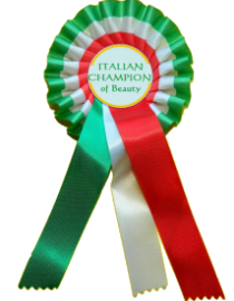 champion